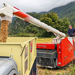 田んぼマスター榎本さん